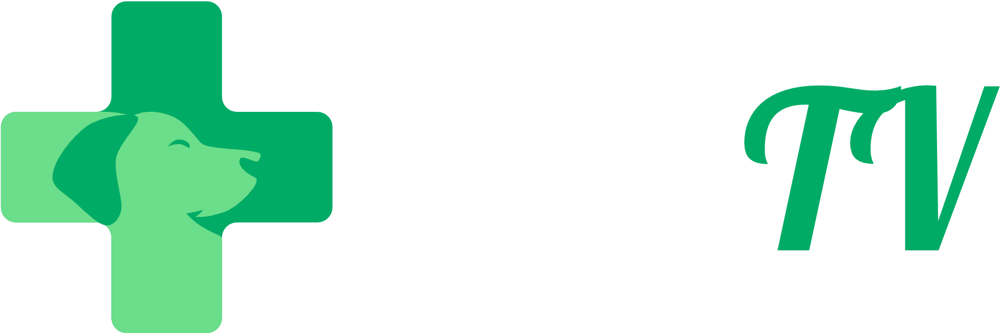 Installation facile d'un écran connecté dans un cabinet vétérinaire